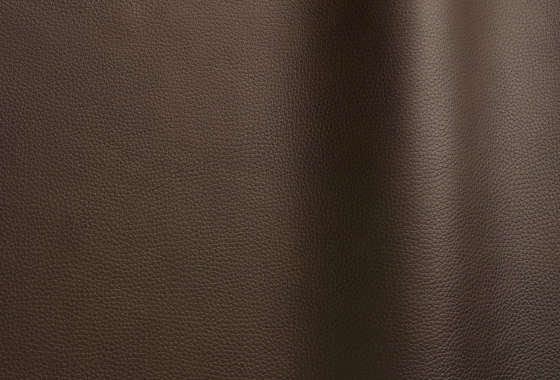 Wind 4107 TT | Natural leather | Futura Leathers