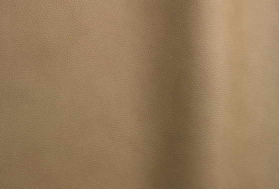 Wind 4110 TT | Natural leather | Futura Leathers
