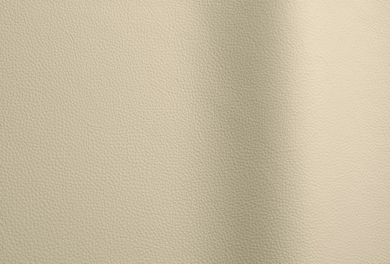Wind 4112 | Natural leather | Futura Leathers