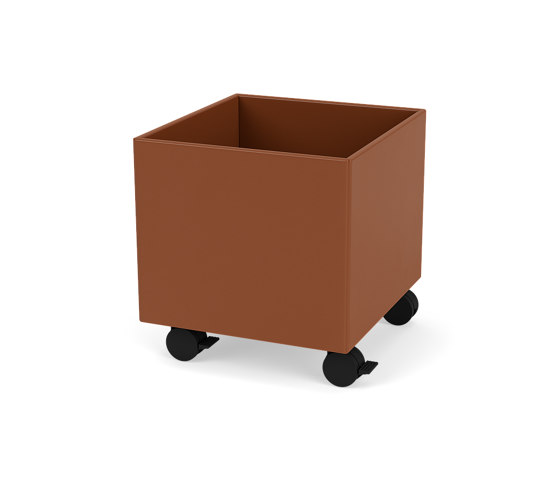 Living Things | LT3861 – plant and storage box | Montana Furniture | Storage boxes | Montana Furniture