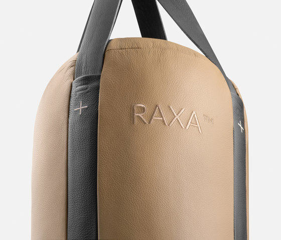RAXA™ Punching Bag & Gloves | Fitness tools | Pent Fitness