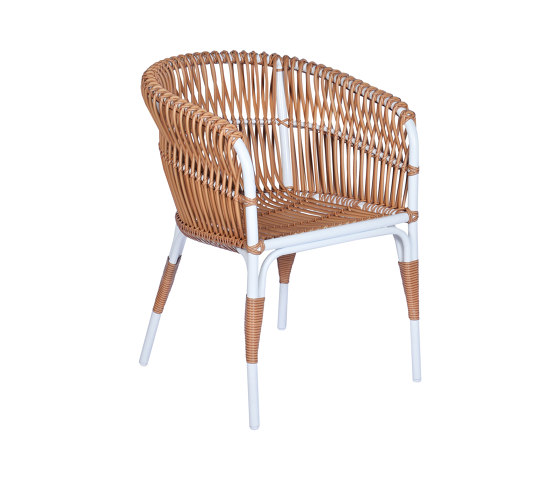 Aruba Dining Armchair | Chairs | cbdesign