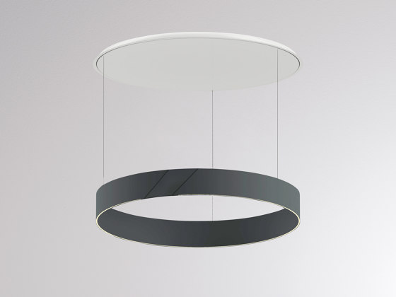 After 8 Round PDI | Suspended lights | MOLTO LUCE