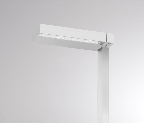 Concept Left F | Free-standing lights | MOLTO LUCE