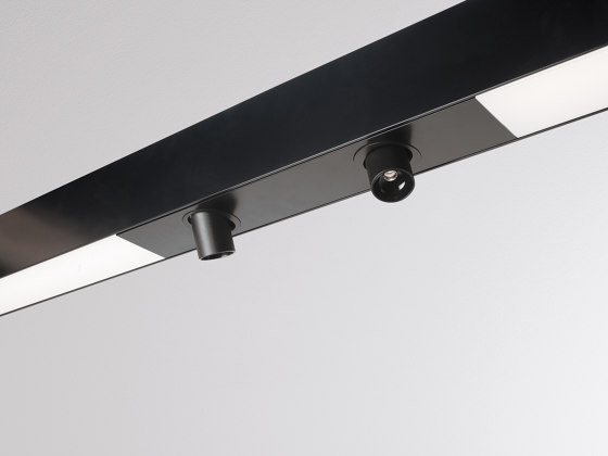 Log 2.1 System | Ceiling lights | MOLTO LUCE