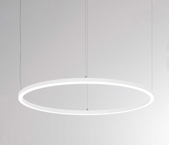 Ride Ring PD | Suspended lights | MOLTO LUCE