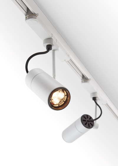 Focus Line LED | Lámparas de techo | Insolit