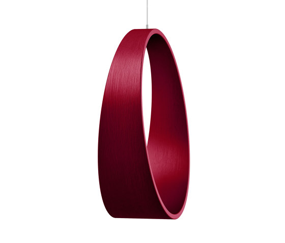 Circleswing N.2 Wooden Hanging Chair Swing Seat -  Ral⎥indoor | Columpios | Iwona Kosicka Design