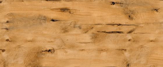 Oak Vital 126 | Piallacci legno | SUN WOOD by Stainer
