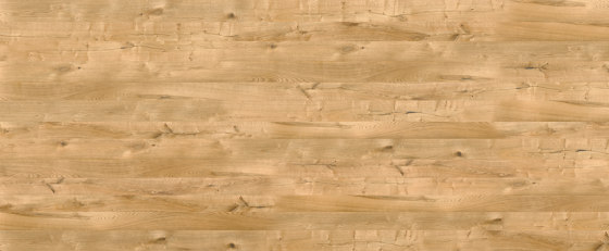 Oak Istria 700 | Wood veneers | SUN WOOD by Stainer