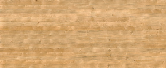 Oak Nature 701 | Placages bois | SUN WOOD by Stainer