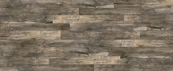 Lipa 13 | Placages bois | SUN WOOD by Stainer