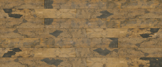 Attic Boards 46 | Placages bois | SUN WOOD by Stainer