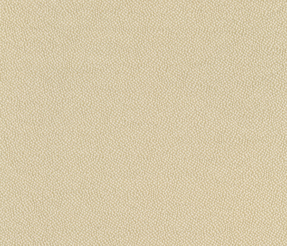 Pippa 600724-0210 | Tessuti decorative | SAHCO