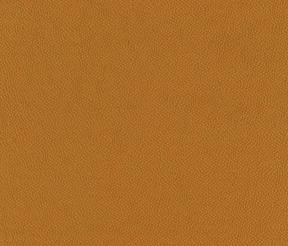 Pippa 600724-0470 | Tessuti decorative | SAHCO