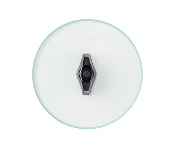 Berker Serie Glas Schalter | Rotary switches | Hager