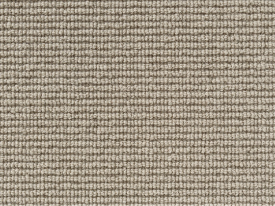 Clarity - Almond | Tappeti / Tappeti design | Best Wool