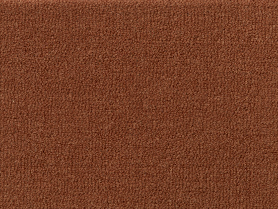 Essence - Terra | Formatteppiche | Best Wool