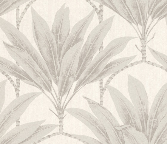 Palmera 299884 | Wall coverings / wallpapers | Rasch Contract
