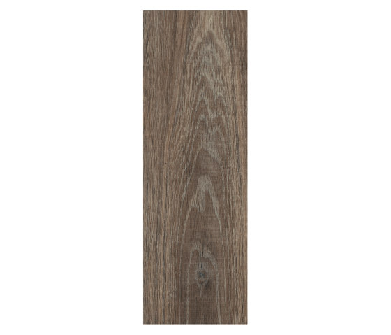 First Woods - 0,3 mm I Haven Oak | Kunststoff Fliesen | Amtico