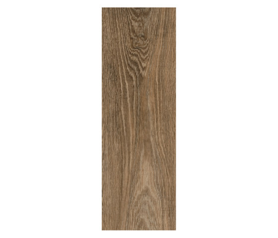 First Woods - 0,3 mm I Noble Oak | Kunststoff Fliesen | Amtico
