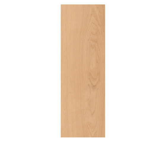 First Woods - 0,3 mm I Warm Maple | Kunststoff Fliesen | Amtico
