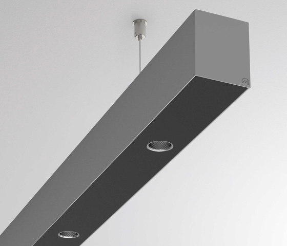 Log 50 Spot PD | Suspended lights | MOLTO LUCE