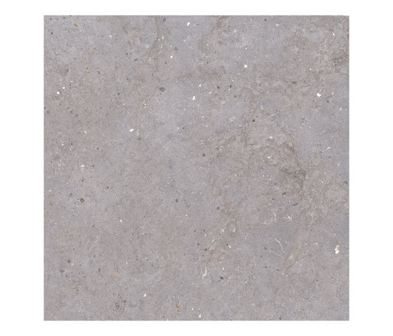 Omnia | Pirenei Silver | Ceramic tiles | Ceramiche Keope
