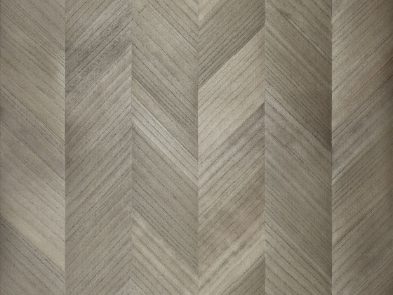 Sycamore Chevron | SYC3110 | Placages | Omexco