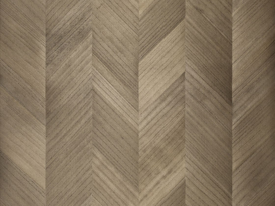 Sycamore Chevron | SYC3120 | Placages | Omexco