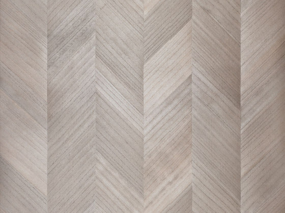 Sycamore Chevron | SYC3140 | Placages | Omexco