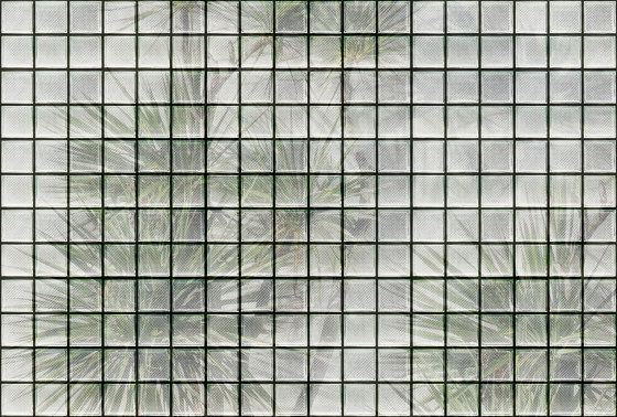 Walls by Patel 3 | Papel Pintado greenhouse 1 | DD122072 | Revestimientos de paredes / papeles pintados | Architects Paper