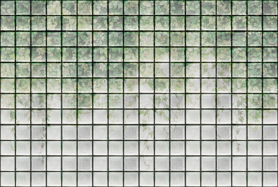 Walls by Patel 3 | Tapete greenhouse 2 | DD122076 | Wandbeläge / Tapeten | Architects Paper