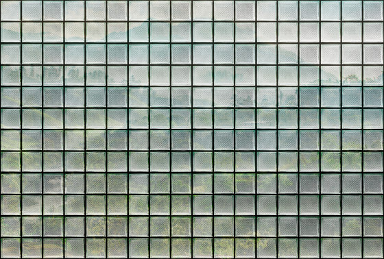 Walls by Patel 3 | Papier Peint greenhouse 3 | DD122080 | Revêtements muraux / papiers peint | Architects Paper
