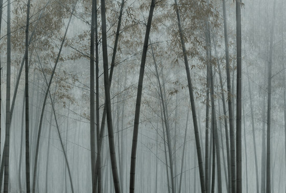 Walls by Patel 3 | Papier Peint in the bamboo 1 | DD122100 | Revêtements muraux / papiers peint | Architects Paper