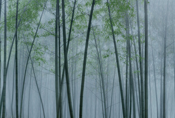 Walls by Patel 3 | Papier Peint in the bamboo 2 | DD122104 | Revêtements muraux / papiers peint | Architects Paper