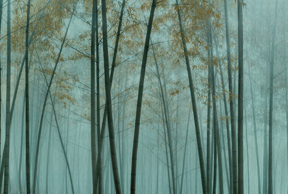 Walls by Patel 3 | Papel Pintado in the bamboo 3 | DD122108 | Revestimientos de paredes / papeles pintados | Architects Paper