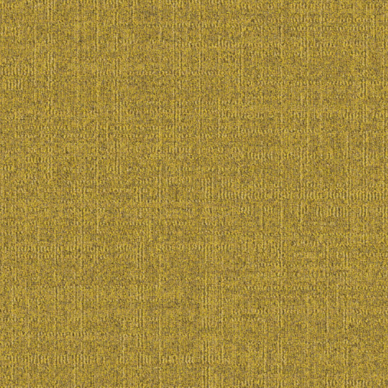 Dune 224 | Carpet tiles | modulyss