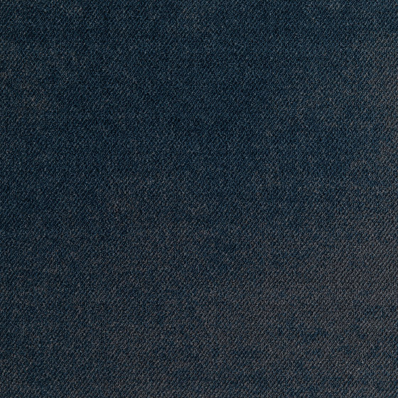 Haze LP 569 | Carpet tiles | modulyss