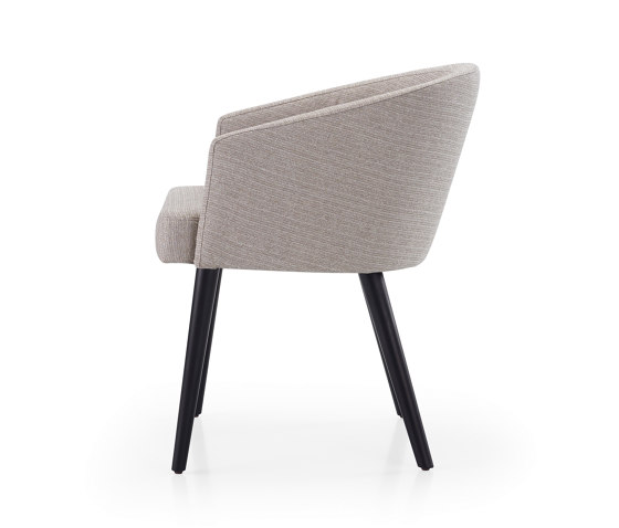 Lili Chair | Sedie | HMD Furniture