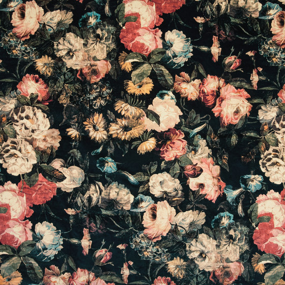 MIDNIGHT GARDEN Velvet - Multi by House of Hackney | Drapery fabrics