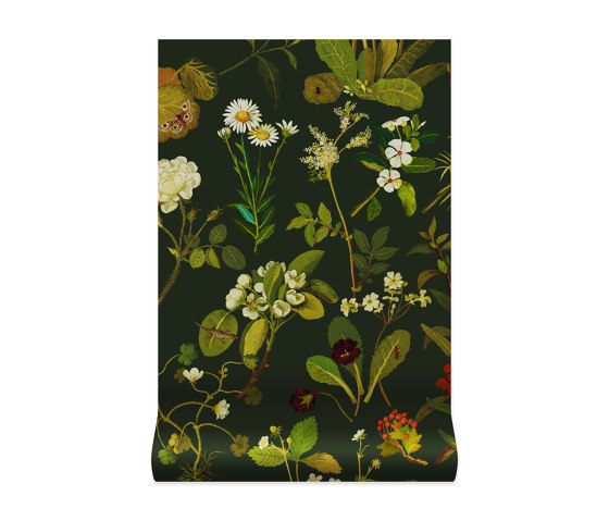 HERBARIUM Wallpaper - Forest Green | Revestimientos de paredes / papeles pintados | House of Hackney