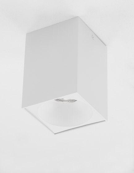 NIDO Decorative Mounted Spot | Plafonniers | NOVA LUCE