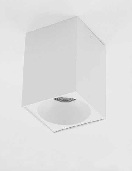 NIDO Decorative Mounted Spot | Lámparas de techo | NOVA LUCE