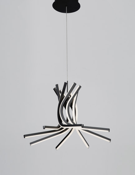 NORINE Decorative Pendant Lamp | Suspended lights | NOVA LUCE