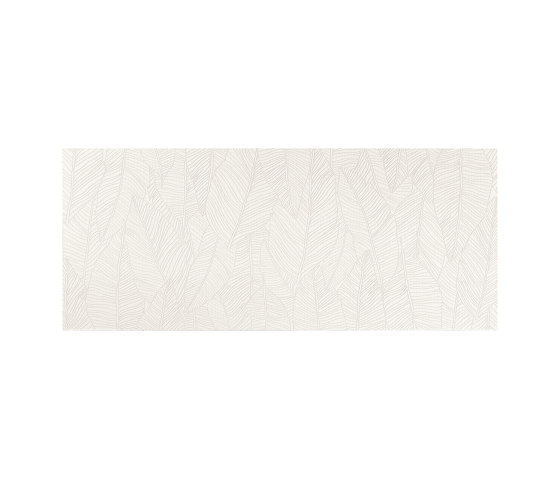 Aplomb White Leaf | Ceramic tiles | Atlas Concorde