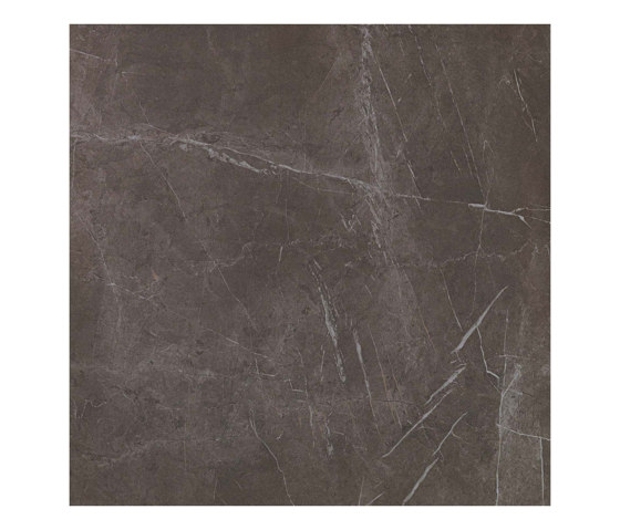 Marvel Grey Stone 75x75 | Baldosas de cerámica | Atlas Concorde