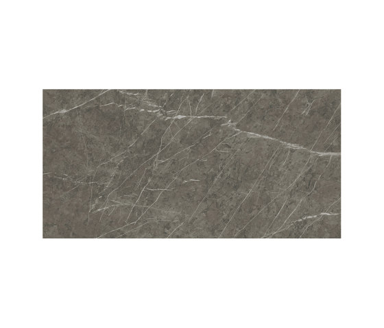 Marvel Grey Stone 60x120 Polished | Baldosas de cerámica | Atlas Concorde