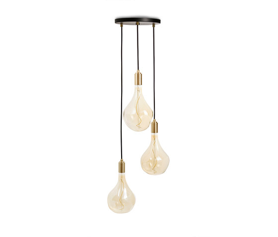 Brass Triple Pendant with Black Canopy with Voronoi II | Suspensions | Tala