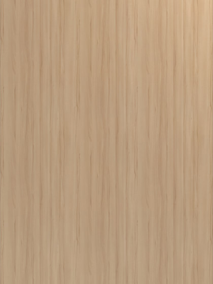 Odessa Beech | Placages bois | UNILIN Division Panels